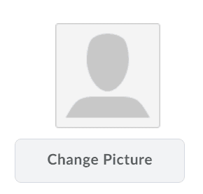 upload image to make a fake profile look real