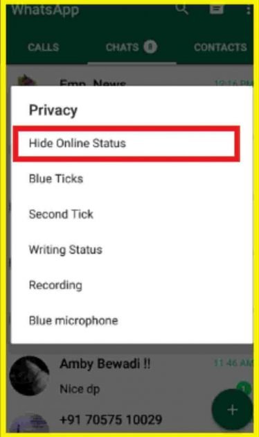 Hide online status Whatsapp