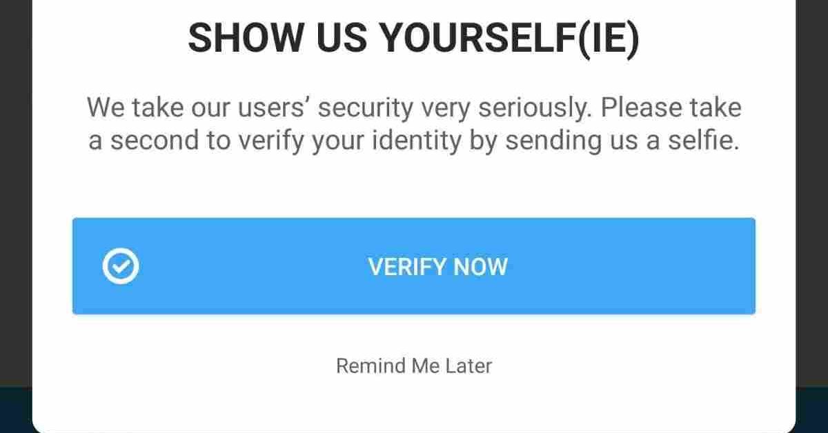 How To Bypass Bumble Photo Verification