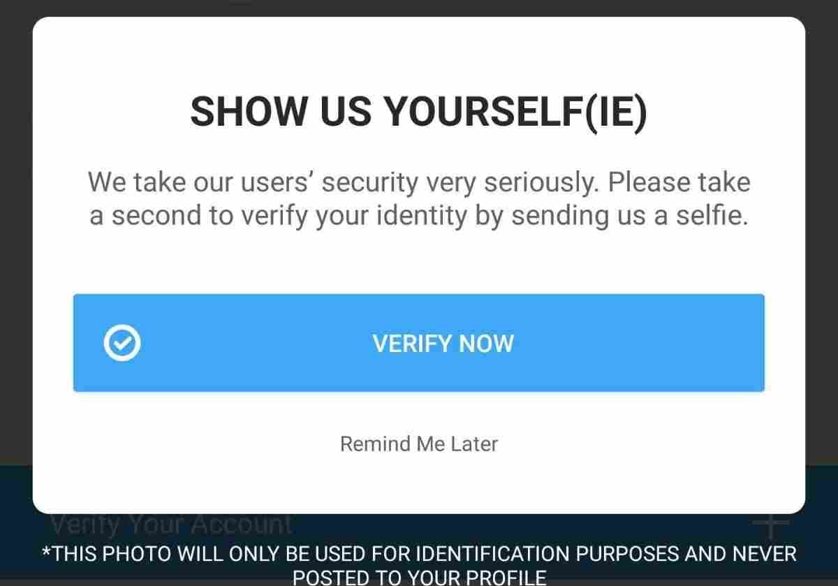 How to bypass Bumble photo verification