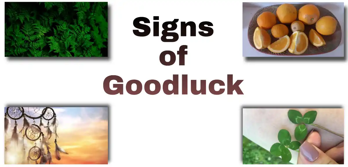 Signs of Good Luck Coming