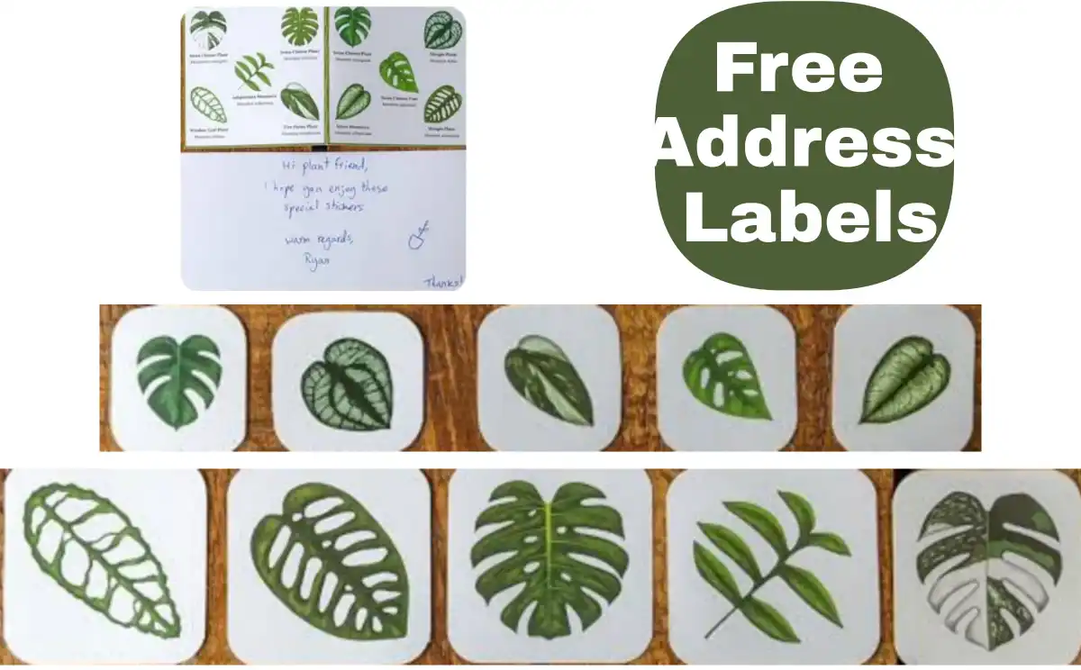 free address labels